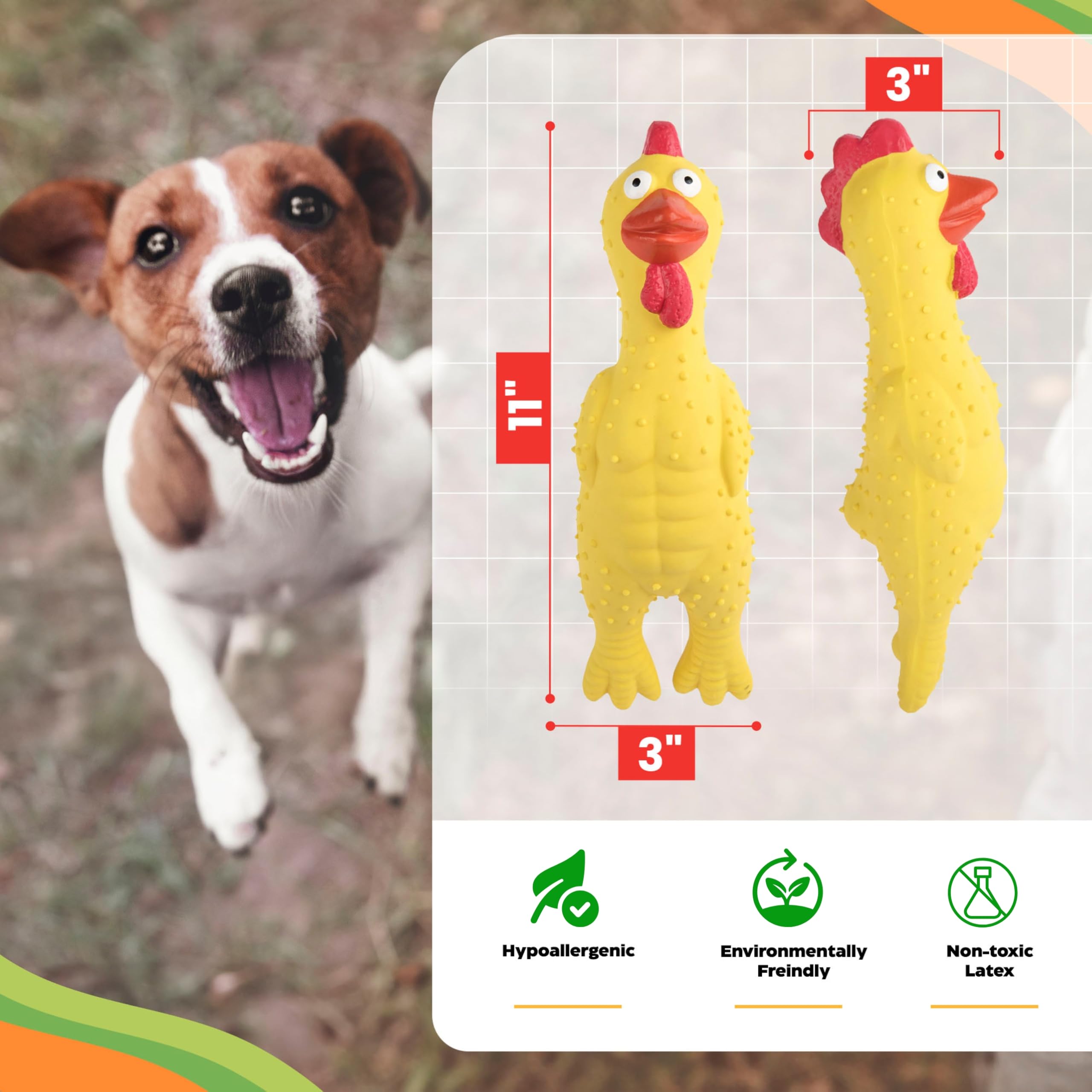 Baba Buddies 100% Natural Latex Squeaky Dog | Durable Rubber Chicken Chew Toy for Small & Large Dogs | Funny Screaming Chicken |